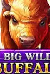Big Wild Buffalo